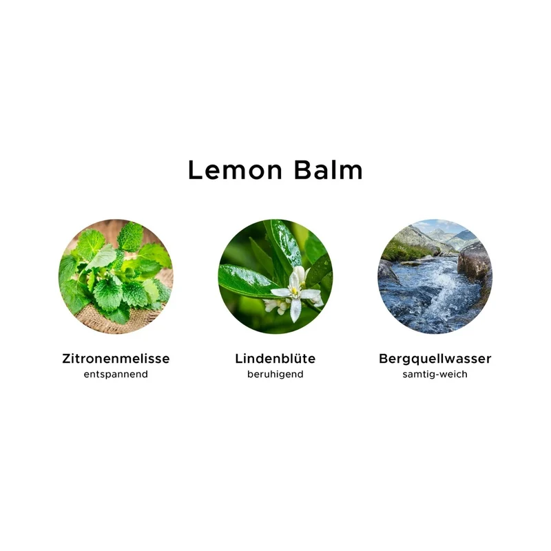Hair & Body Shampoo 'Lemon Balm' | tierversuchsfrei | vegan | Kunststoffgebinde mit Pumpfunktion | Made in Austria