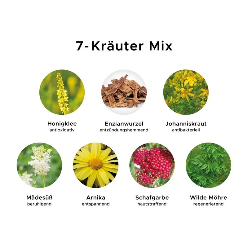 Hand & Body Lotion 'Organic Herbs' | 250 ml | tierversuchsfrei | vegan | Kunststoffgebinde mit Pumpfunktion | Made in Austria