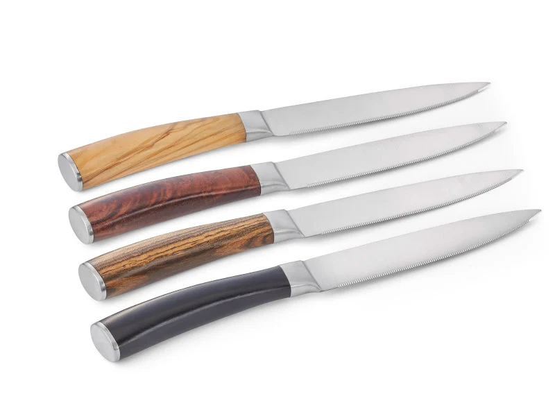 Garry Steakmesser Set 4-teilig