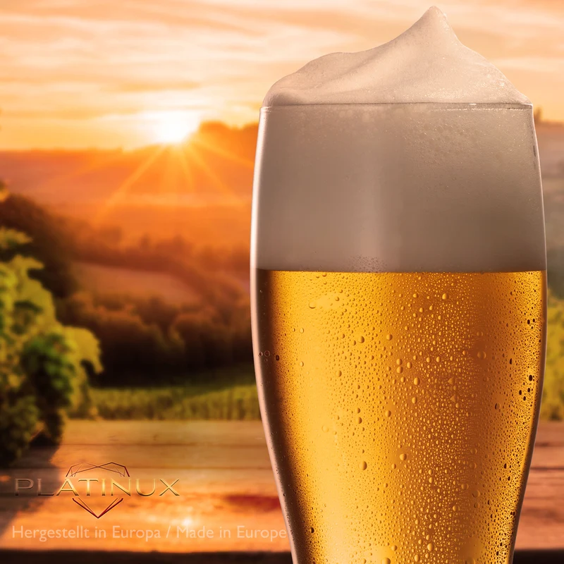 PLATINUX Biergläser 500ml (max. 640ml) Set 6-Teilig Bierseidel Weizengläser 0,5L Glas