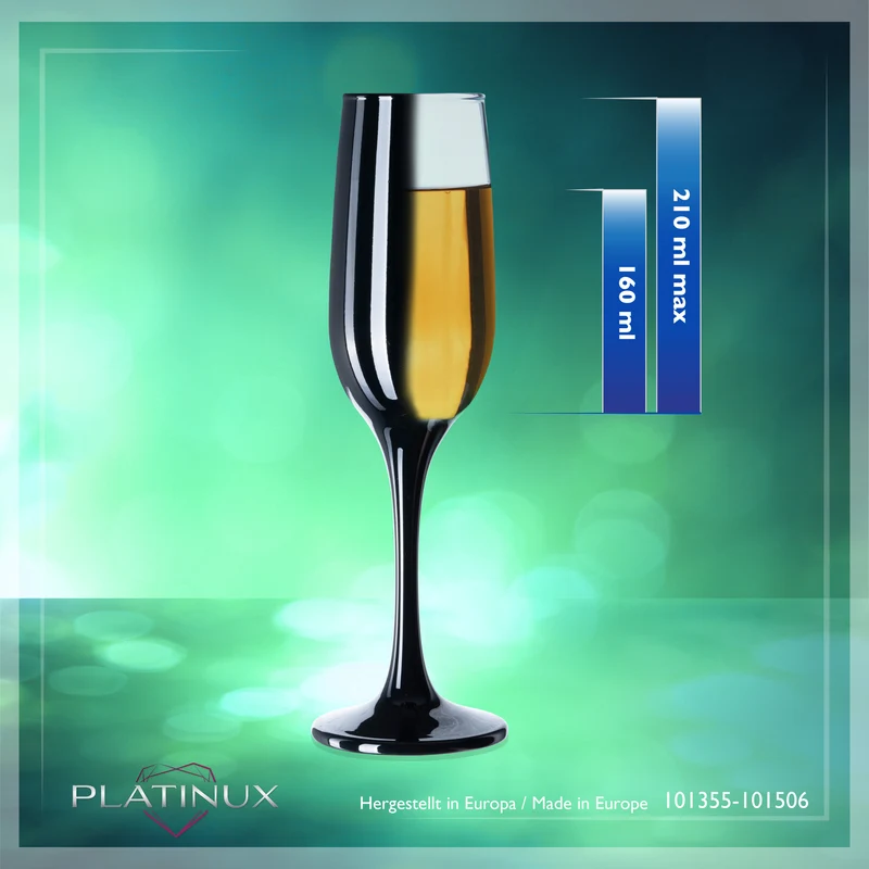 PLATINUX Schwarze & Weiße stabile Sektgläser Set 6 Teilig 160ml (max. 210ml) aus Glas
