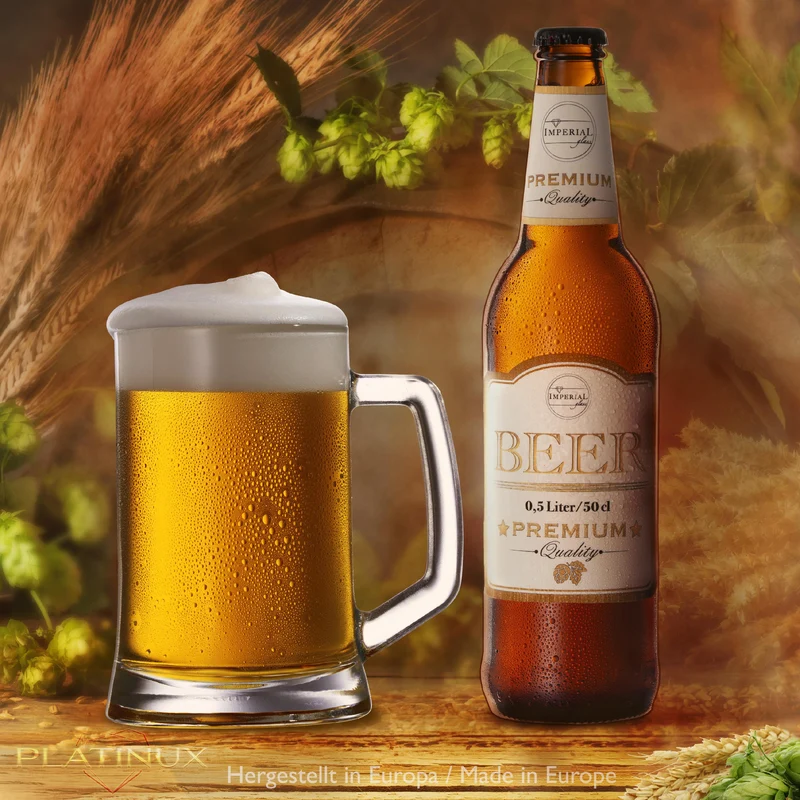 PLATINUX Bierseidel mit Henkel 0,5 Liter Set 2 Teilig Bierkrüge