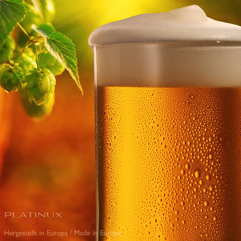 PLATINUX Bierseidel mit Henkel 0,5 Liter Set 2 Teilig Bierkrüge