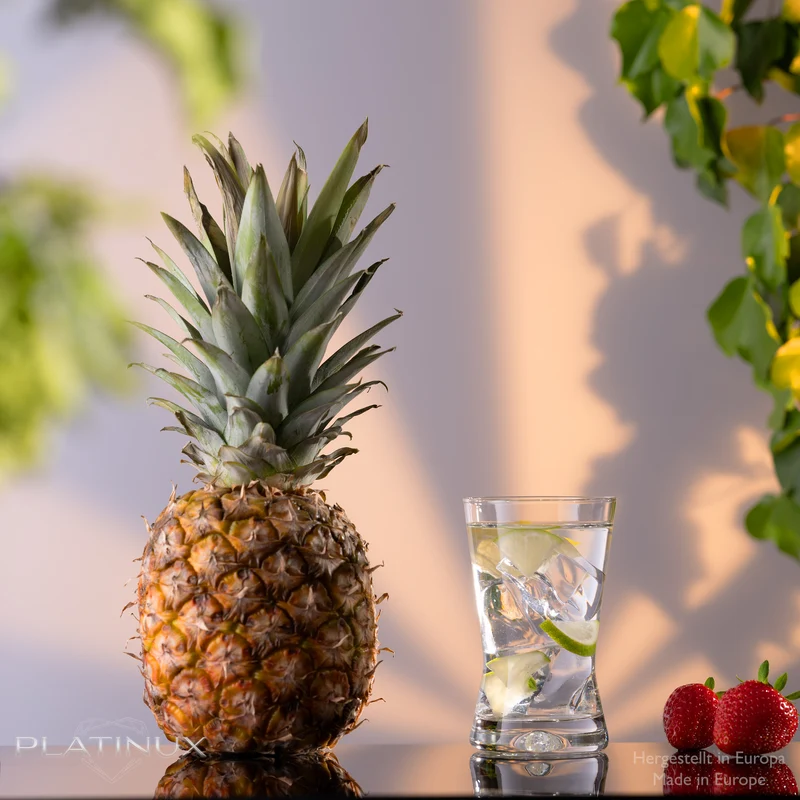 PLATINUX Karaffe mit Korkenverschluss und 6 Trinkgläsern X-Form 1000ml / 200ml aus Crystalline Glas "CrossLine" Spülmaschinenfest