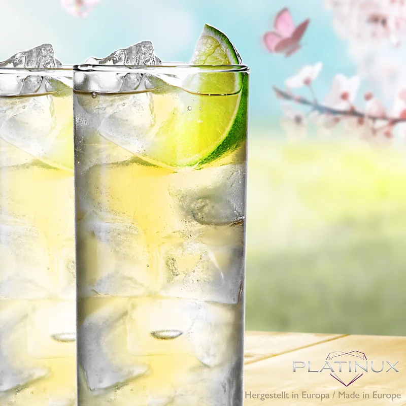 PLATINUX Hohe Trinkgläser aus Glas 340ml (max.350ml) Set 6-Teilig