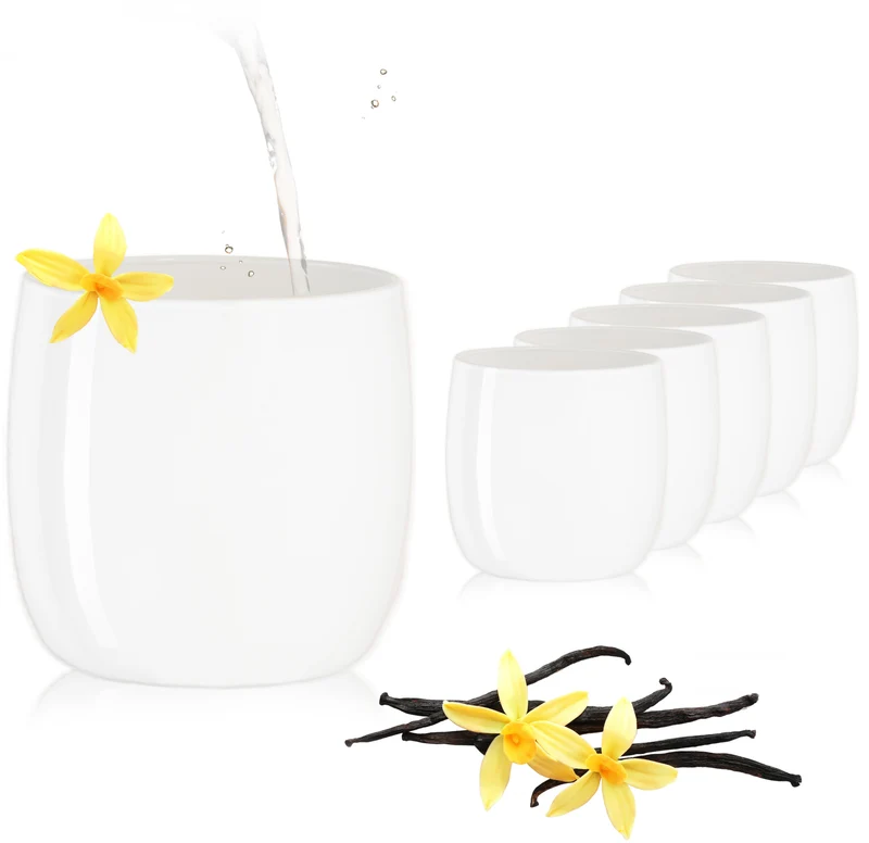 PLATINUX Elegante Weiße Trinkgläser aus Glas 260ml (max.320ml) Set 6 Teilig