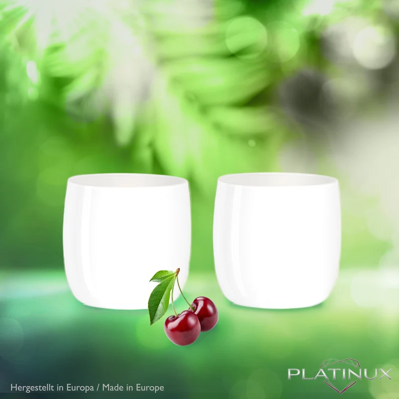 PLATINUX Elegante Weiße Trinkgläser aus Glas 260ml (max.320ml) Set 6 Teilig