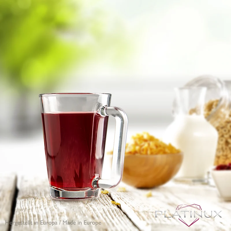 PLATINUX Teegläser mit Henkel aus Glas Kaffeegläser 220ml (max.280ml) Set 6-Teilig