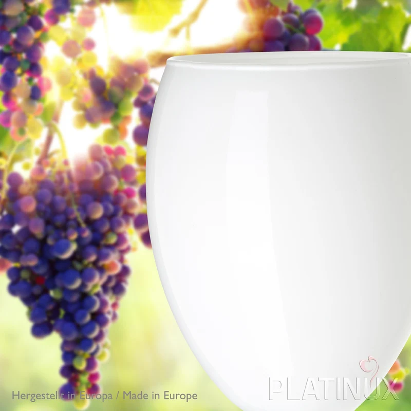 PLATINUX Weiße Weingläser Set 6 Teilig 130ml (max. 320ml) aus Glas