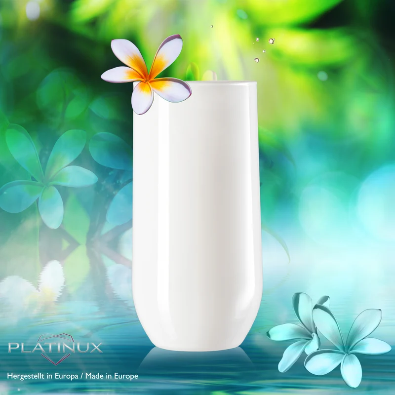 PLATINUX Elegante Weiße Trinkgläser aus Glas 360ml (max. 440ml) Set 6 Teilig