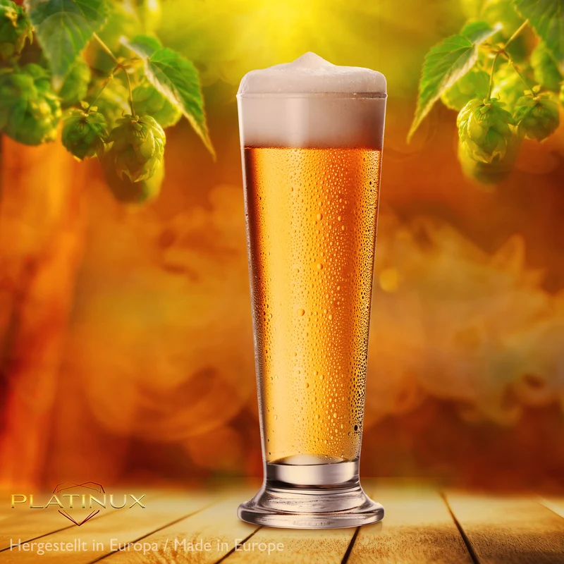 PLATINUX Biergläser Set 6-Teilig aus Glas 220ml (max. 250ml)