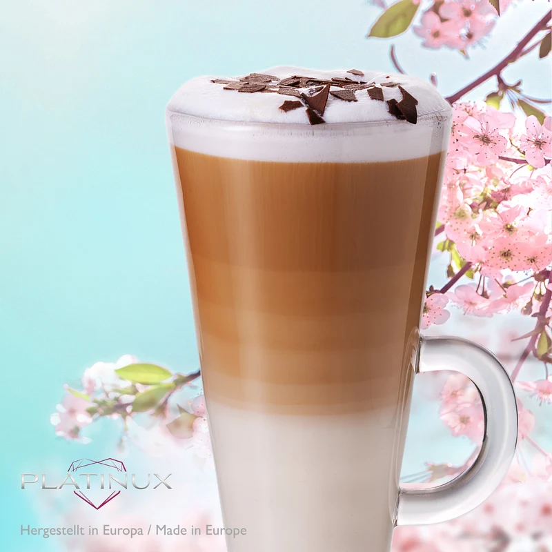 PLATINUX Kaffeegläser mit Henkel 270ml Set 6-Teilig aus Glas