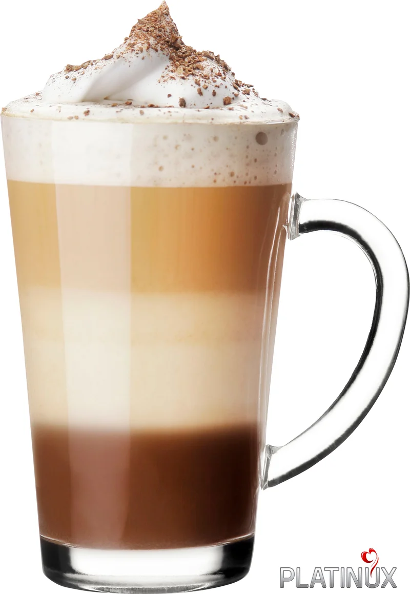 PLATINUX Latte Macchiato Gläser mit Griff aus Glas Set 6-Teilig 270ml (max. 350ml)