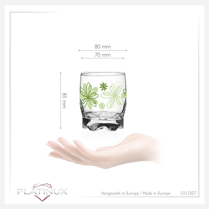 PLATINUX Trinkgläser mit Blumen Dekor Set 6 Teilig 250ml (max.280ml) mit geformten Boden