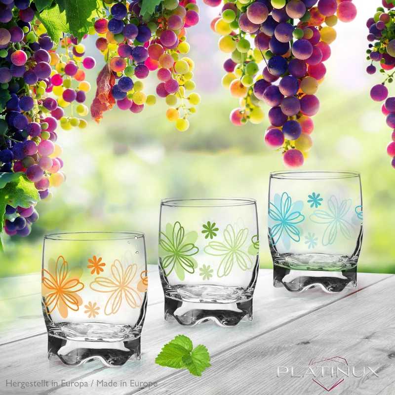 PLATINUX Trinkgläser mit Blumen Dekor Set 6 Teilig 250ml (max.280ml) mit geformten Boden