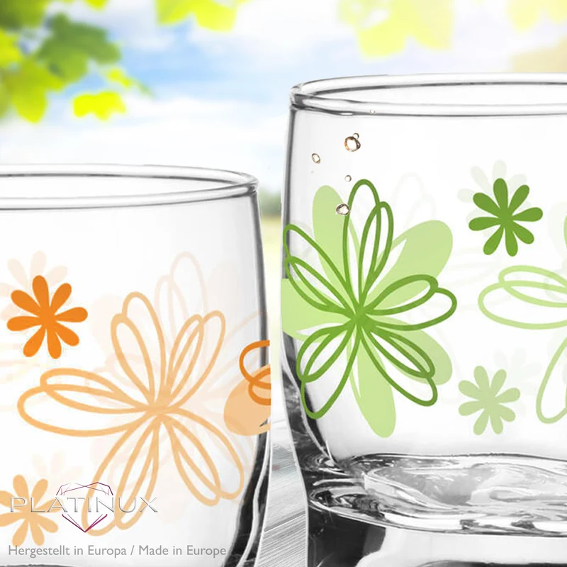 PLATINUX Trinkgläser mit Blumen Dekor Set 6 Teilig 250ml (max.280ml) mit geformten Boden