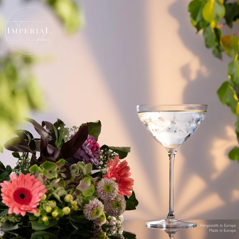 IMPERIAL Martini Gläser Set 2 Stück 330ml aus Crystalline Glas Spülmaschinenfest