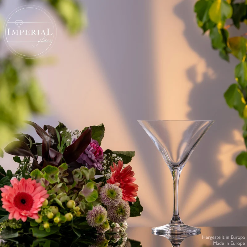 IMPERIAL Martini Gläser Set 2 Stück 270ml aus Crystalline Glas Spülmaschinenfest