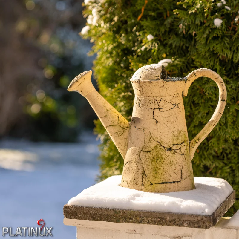 PLATINUX Steingut Deko Gießkanne Grün 36x16,5x26,5cm