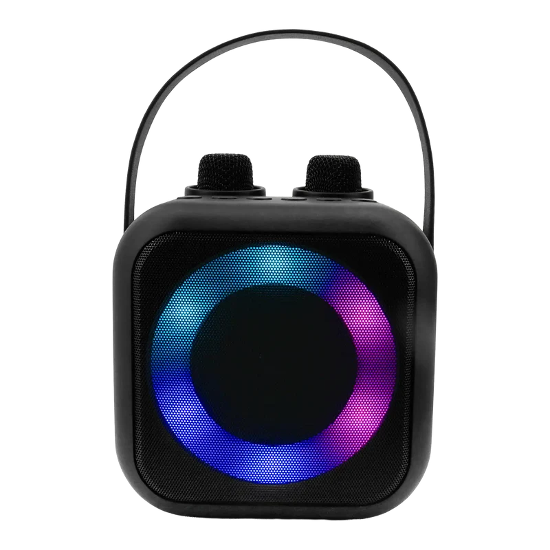 Tragbares Bluetooth Karaoke System