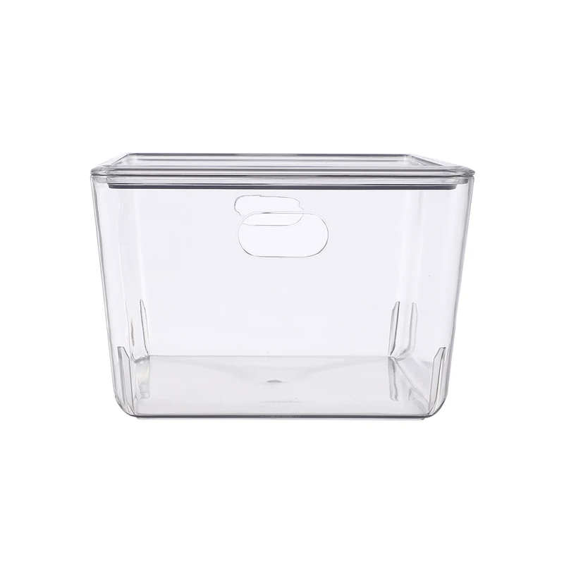 Transparenter Behälter mit Deckel Ezystorage - Lisse