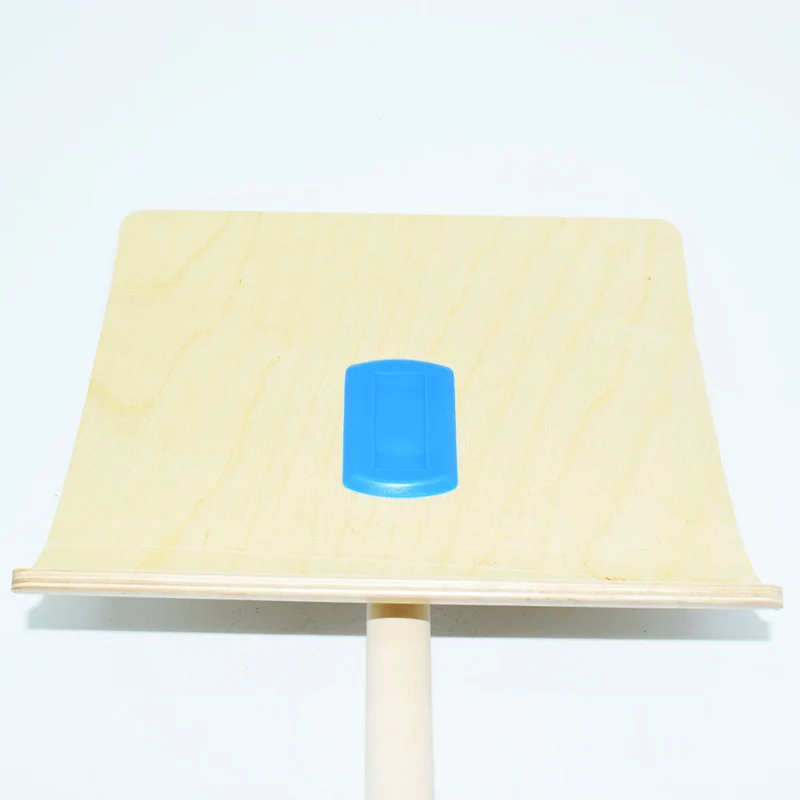 Schneeschieber/Schneeschaufel für Kinder | aus nachhaltigem Holz | Stiellänge: 70 cm | Blattbreite: 24 cm | ab 6 Jahren | Gewicht: 0,51 kg - Handmade in Austria