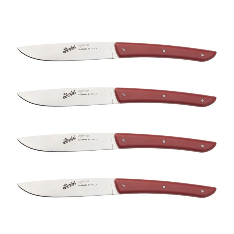 Berkel Color Set 4 Coltelli Bistecca con manico colorato