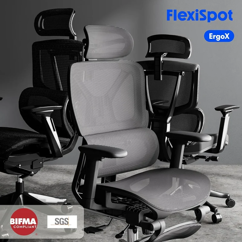 FLEXISPOT ErgoX Ergonomischer Bürostuhl mit Fußstütze – 5D-Rückenlehne, 3D-Armlehnen, Atmungsaktivh