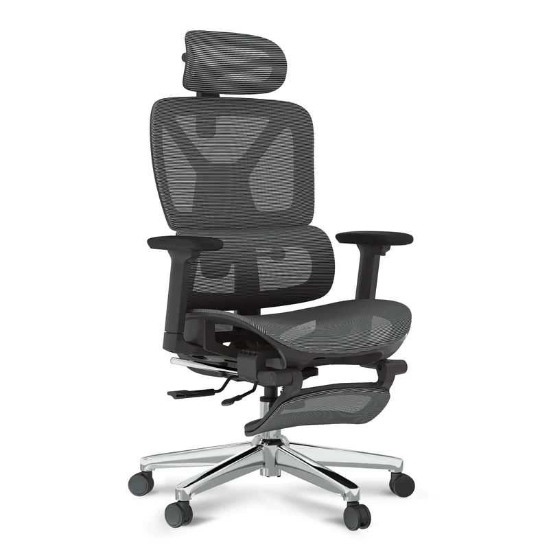 FLEXISPOT ErgoX Ergonomischer Bürostuhl mit Fußstütze – 5D-Rückenlehne, 3D-Armlehnen, Atmungsaktivh