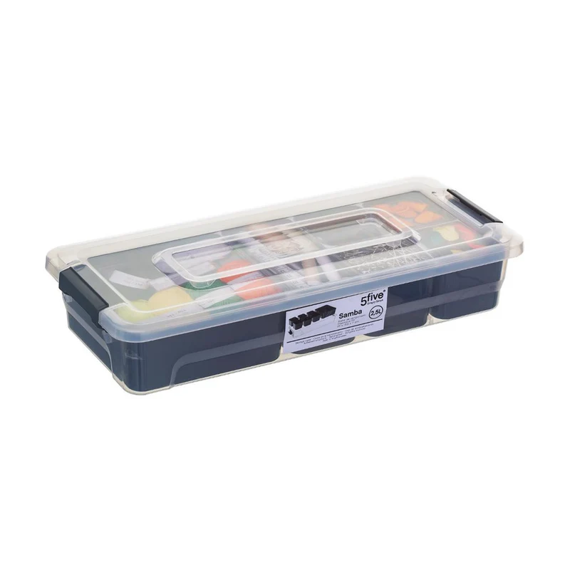 Aufbewahrungsbox 2.5 Liter mit 6 herausnehmbaren Fächern Five®