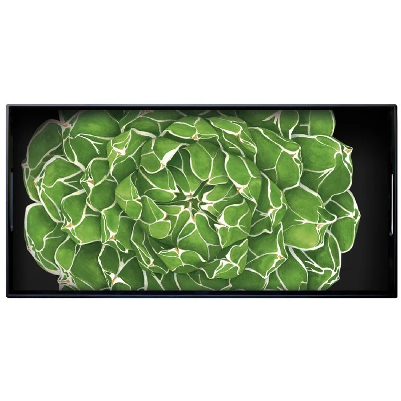 Taitù Cactus Vassoio