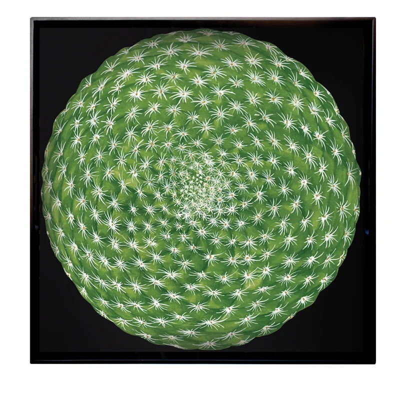 Taitù Cactus Vassoio