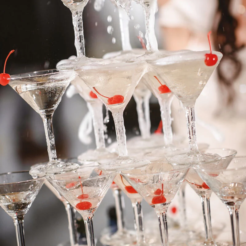 Paderno Fontana Cocktail Inox