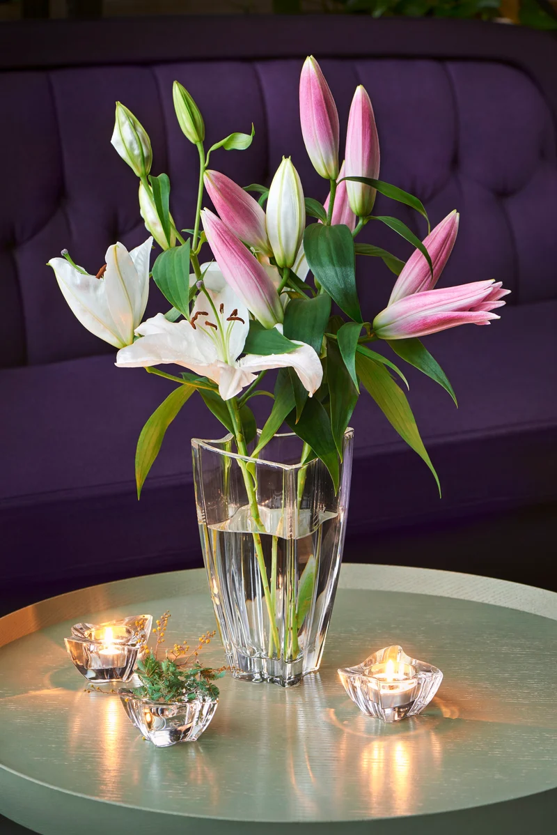 Villeroy & Boch Vaso New Wave